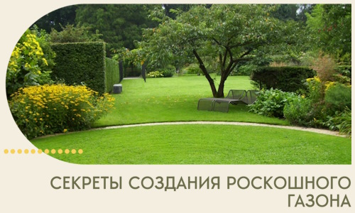 Секреты создания роскошного газона в Миассе