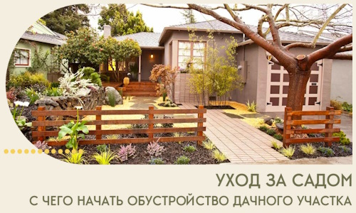 Уход за садом. С чего начать благоустройство дачного участка